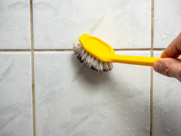 Best Mold Testing  in Chevy Chase Village, MD