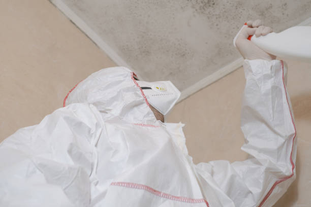 Best Water Damage Restoration  in Chevy Chase Village, MD